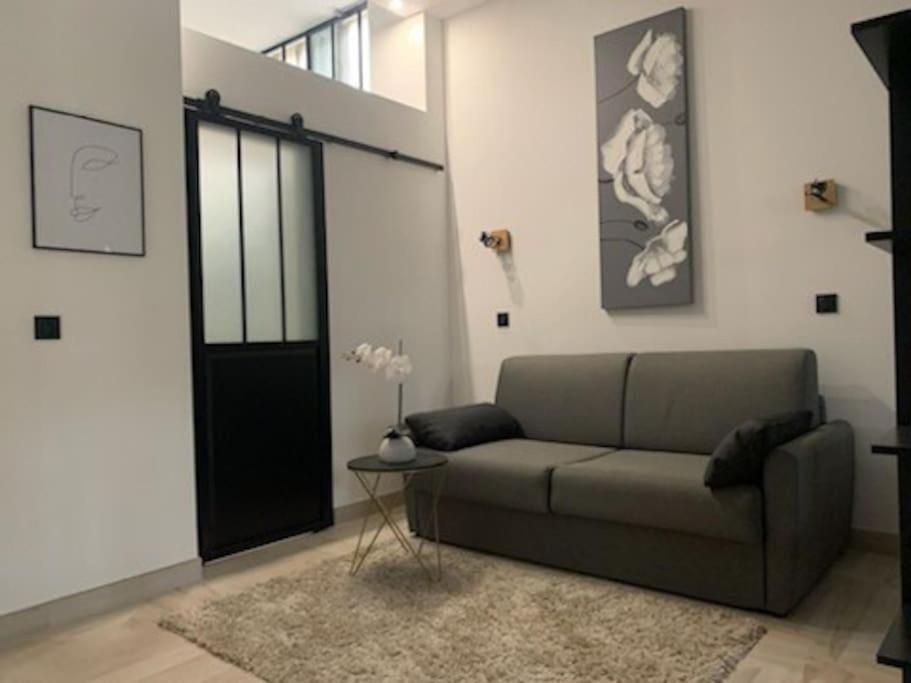 Studio Loft 40M2 De Charme Perpignan Eksteriør bilde